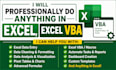 professionally do anything in excel, excel vba
