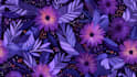 design seamless repeat pattern design