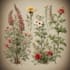 illustrate best botanical illustration