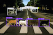 do object detection, image classification, tracking, and segmentation