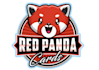 design eye catching panda logo
