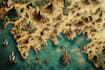 make fantasy map illustration