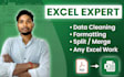clean, format, merge and organize excel data professionally