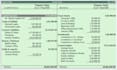 professional bookkeeping and account management