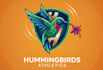 make amazing hamming bird mascot logo design with your choice