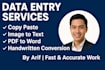 do manual data entry , PDF to word and image to text