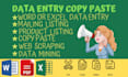 do copy paste job,data entry services