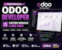 fix errors and bugs or create custom odoo module