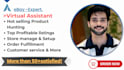 manage your ebay account as a virtual assistant and 2step ds