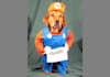 dress up my dog as Mario holding your sign