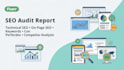 create audit report for your webiste