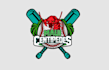 design professional baseball team logo