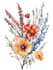 draw botanical illustrations of flowers