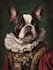 draw custom pet portrait or pet illustration