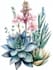 draw botanical and nature illustration