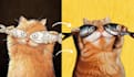 do image editing and photo manipulation