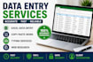 be your virtual assistant for data entry and data management