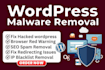 fix japanese SEO spam, remove wordpress malware and secure your website