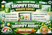 review your shopify store website expert shopify audit