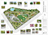 a harmonious landscape backyard design as a landscape architect