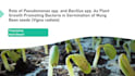 create clean and stunning power point presentations