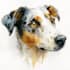 draw a watercolor pet portrait