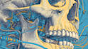 do medical and scientific illustrations