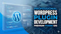 create any custom wordpress plugin you need