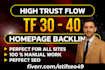 make high trust flow tf 30 plus homepage seo backlinks