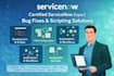 be your expert servicenow developer for bug fixes scripting and custom solutions