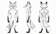 draw furry reference sheet, fursona ref sheet, furry art, anthro reference sheet
