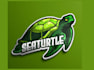 design awesome turtle logo with unlimited revisions