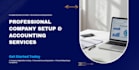 professional company setup and accounting structure services