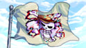 make a fast and high quality custom one piece jolly roger