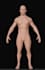 3d metahuman character design unreal engine realistic character modeling rigging