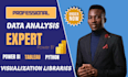 create interactive power bi tableau d3 js python data visualization dashboards