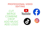 professional video editing subtitle logo text crop combine