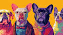 draw pop art dog cat pet potrait