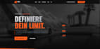 develop you a professional fivem website