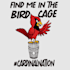 create a rush custom t shirt logo design