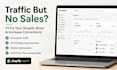 fix your shopify store that gets traffic but no sales