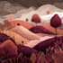 draw a landscape illustration