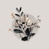 design a unique botanical boho logo