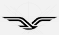 design a custom minimalistic professional logo for your buisness