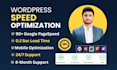 fix slow wordpress website issues and optimize performance with caching