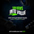 do professional motion graphics, youtube videos and reel editing