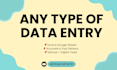 do any type of data entry