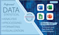 do data formatting and visualization with excel expert