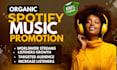 run USA targeted spotify music ads with SEO optimization