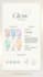 create clean, modern, and cohesive brand identity kits